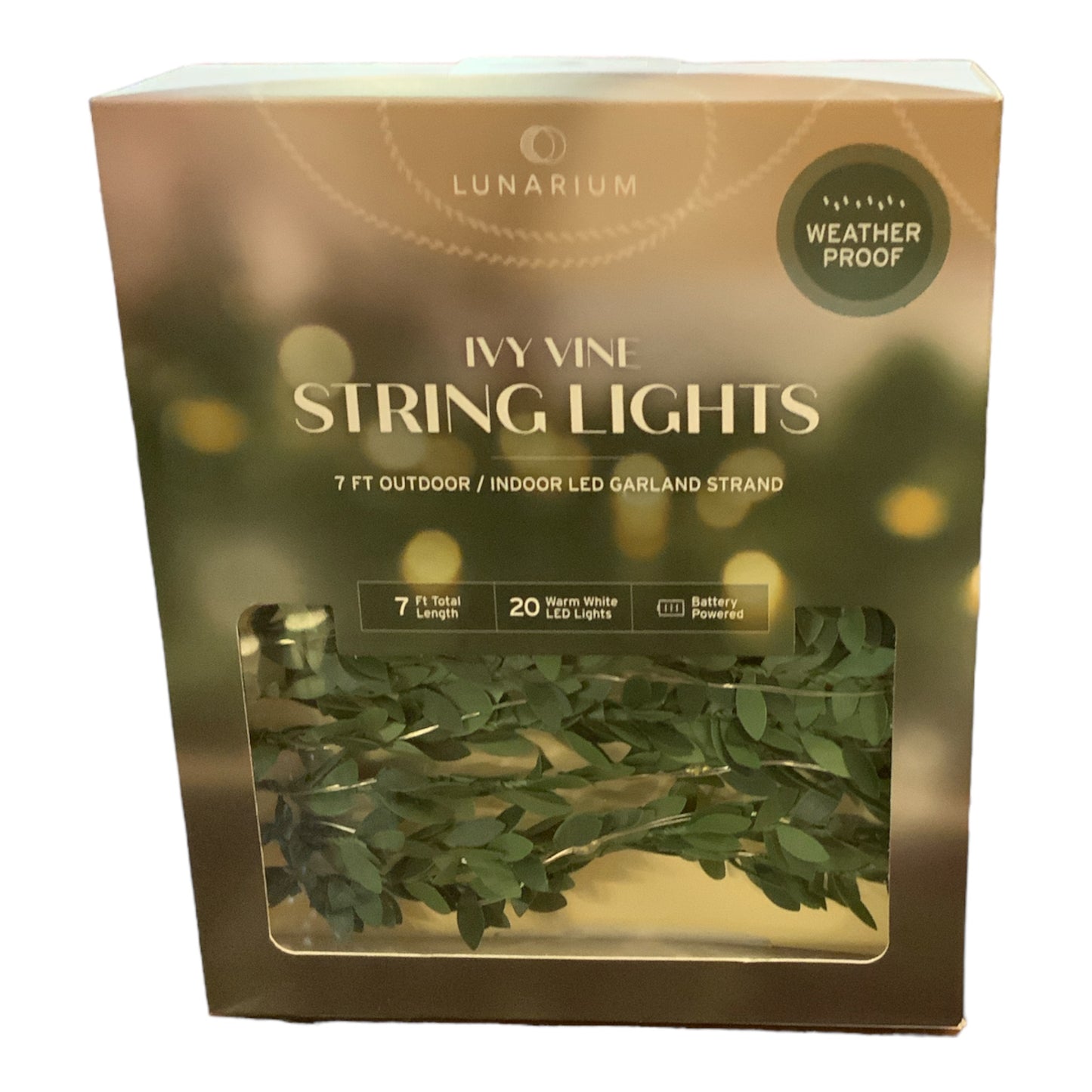 Ivy Vine String Lights