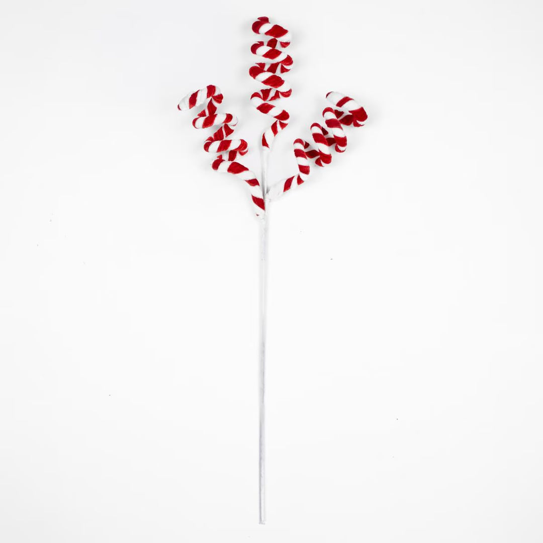 Whimsical Candy Stripe Stem with three spiraled red and white branches.