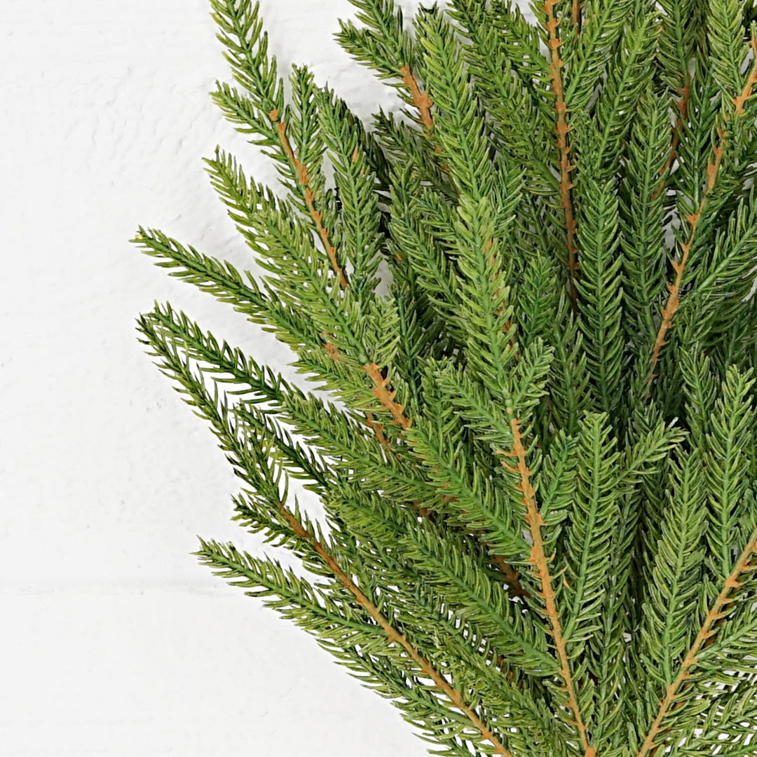 19” Soft-touch Norfolk Pine spray with green needles and brown stems.