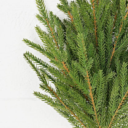19” Spray-Soft Touch Evergreen Norfolk Pines