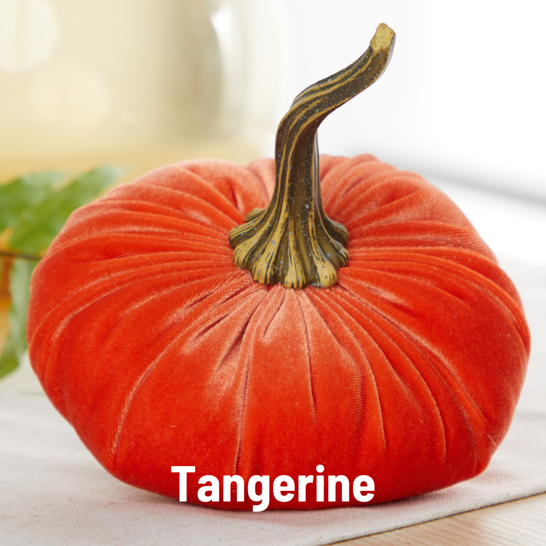 Plush fern-green velvet pumpkin with realistic brown stem, available in large size.