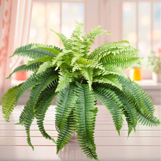 26″ Natural Look Artificial Boston Fern Bush with long, arching fronds.