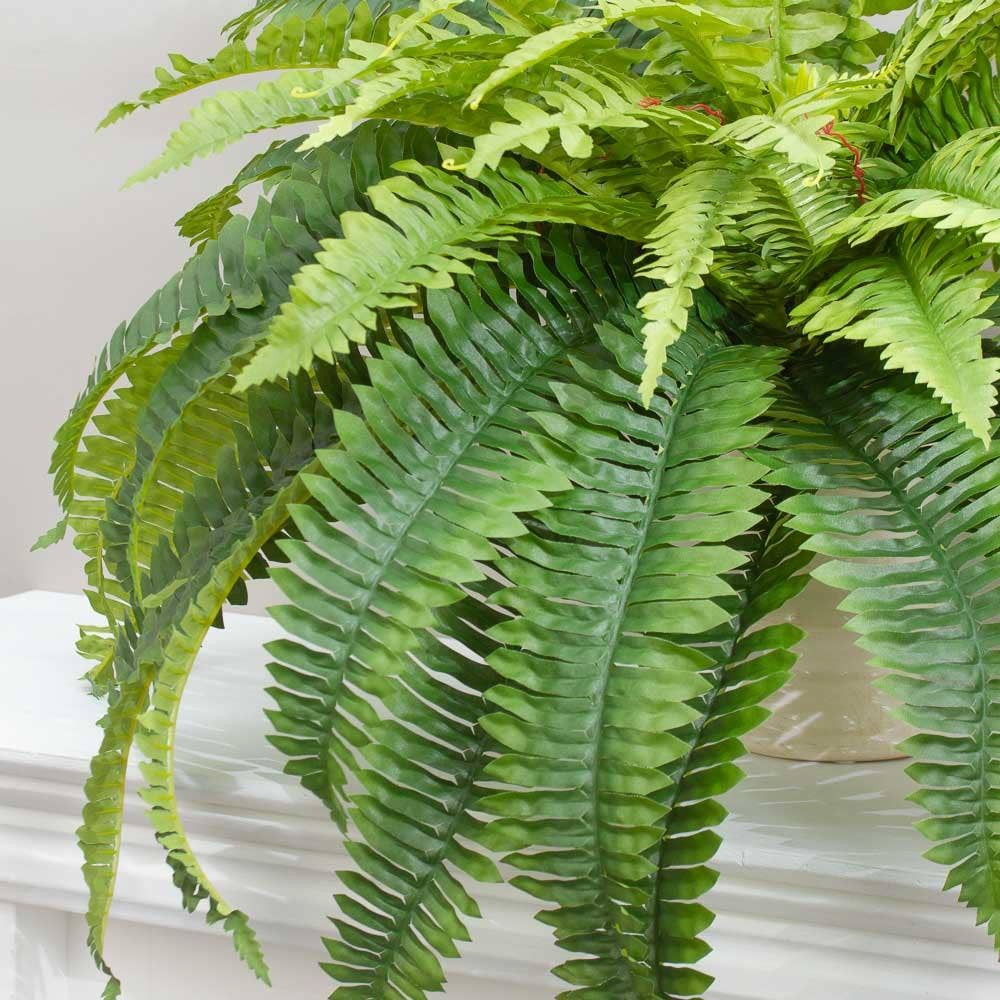 26″ Natural Look Artificial Boston Fern Bush with long, arching fronds and vibrant light and dark green leaves. Maintenance-free.