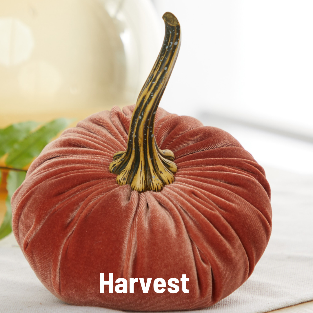 Plush fern green velvet pumpkin with a long, curved stem. Available in large size.