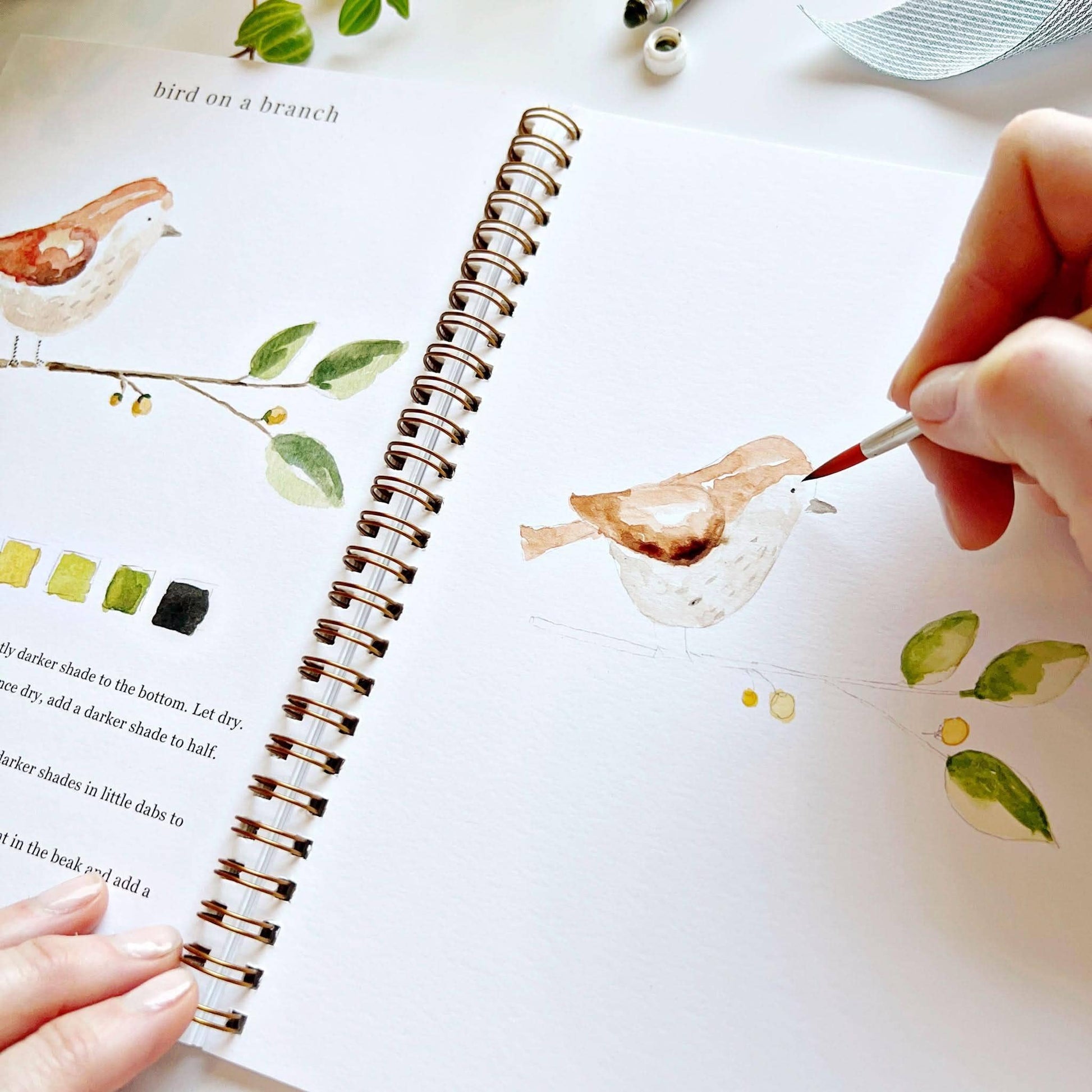 Animals Watercolor Workbook spiral-bound sketchbook with animal art, color swatches, and instructions; sizes: standard, large.