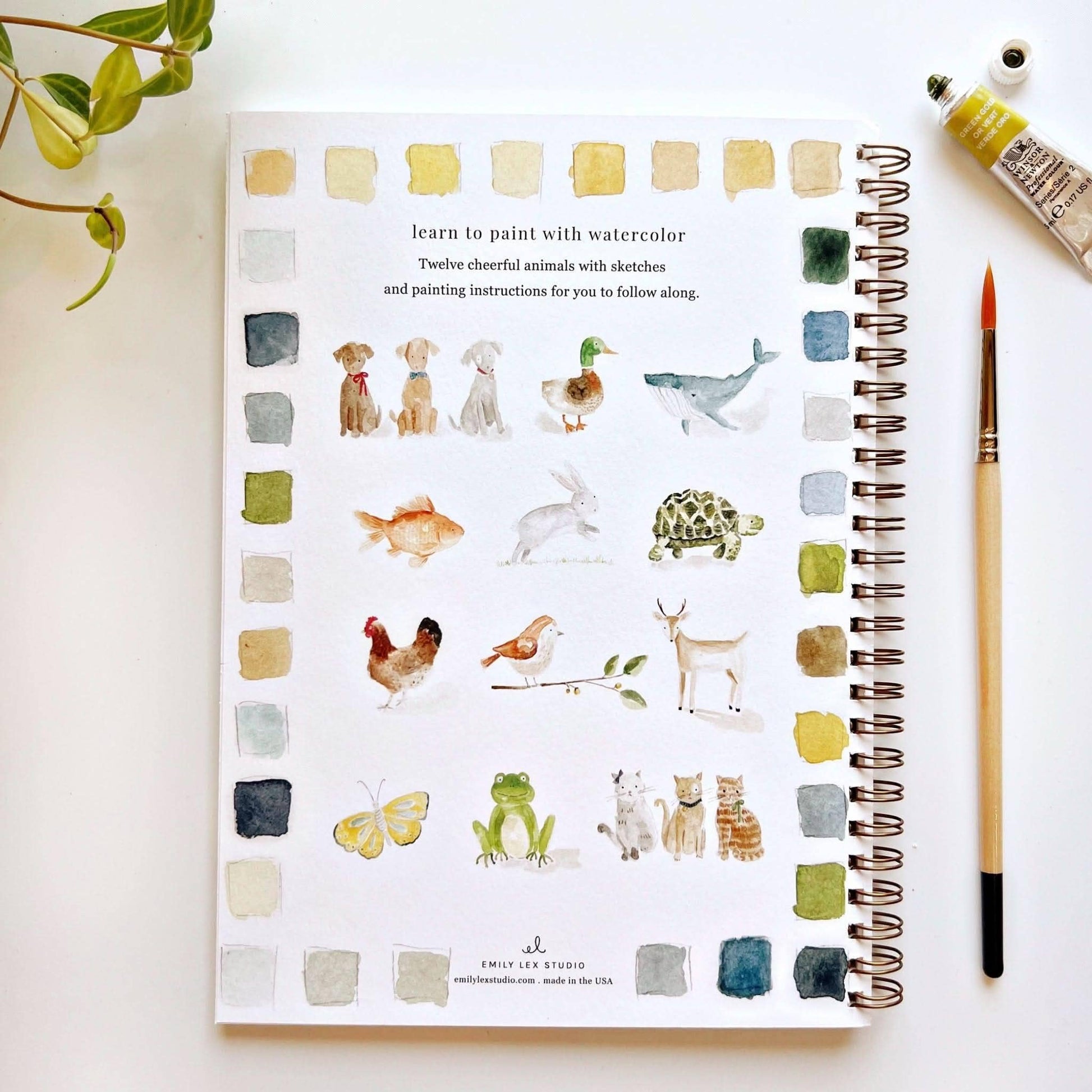 The Animals Watercolor Workbook: spiral-bound, animal illustrations, pastel cover; includes paintbrush and paint. Sizes available.
