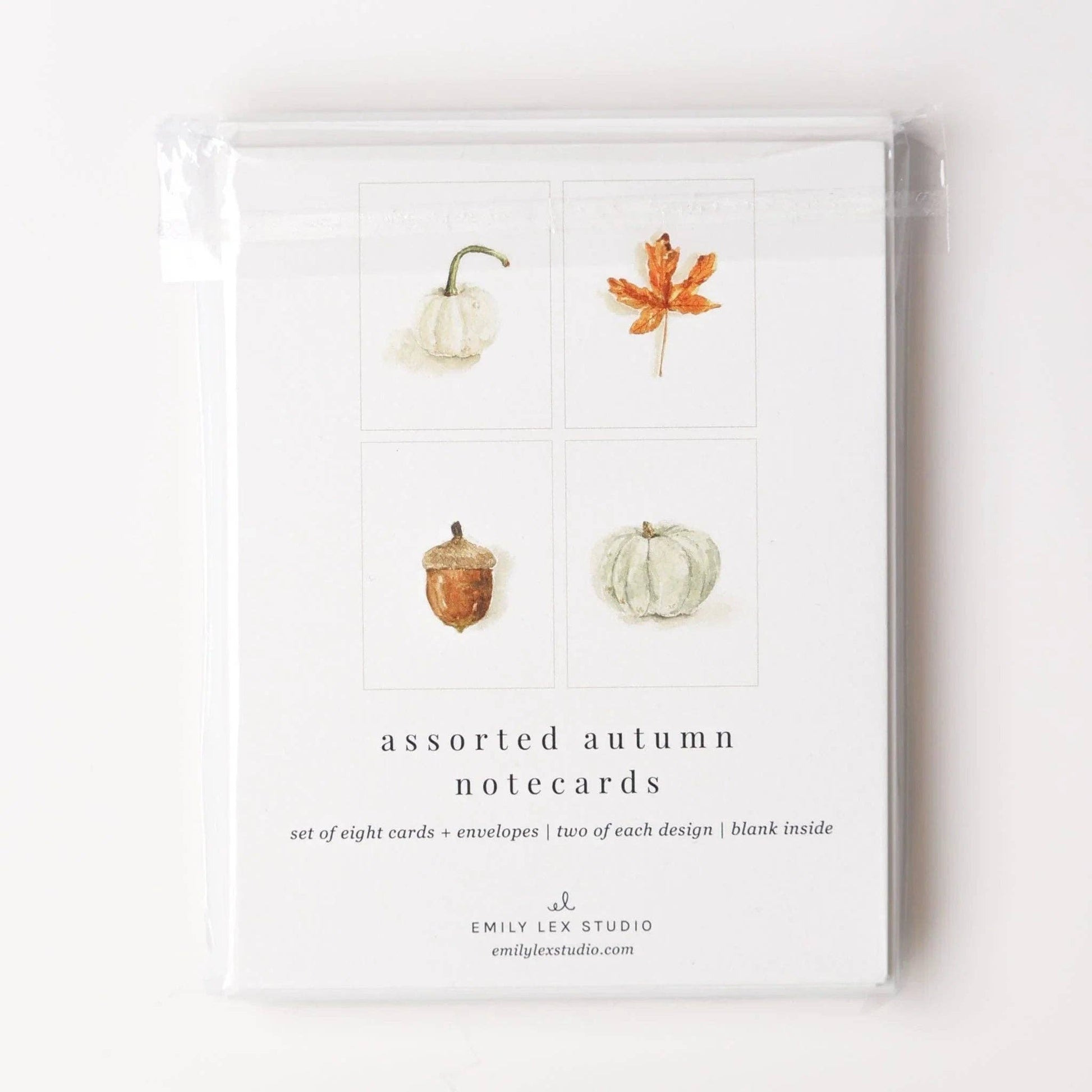 Set of autumn assorted notecards with watercolor illustrations of a pumpkin, leaf, acorn, and white pumpkin. Includes blank greeting cards labeled “Autumn Assorted Notecard Set.” Sizes available.