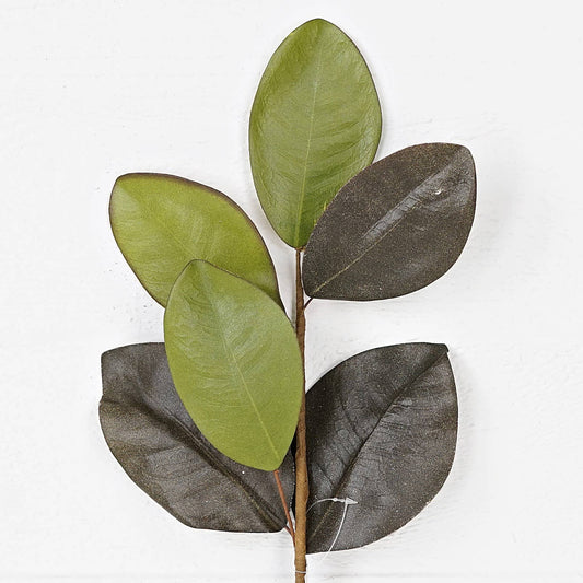 20in Elegant Magnolia Leaves Pick