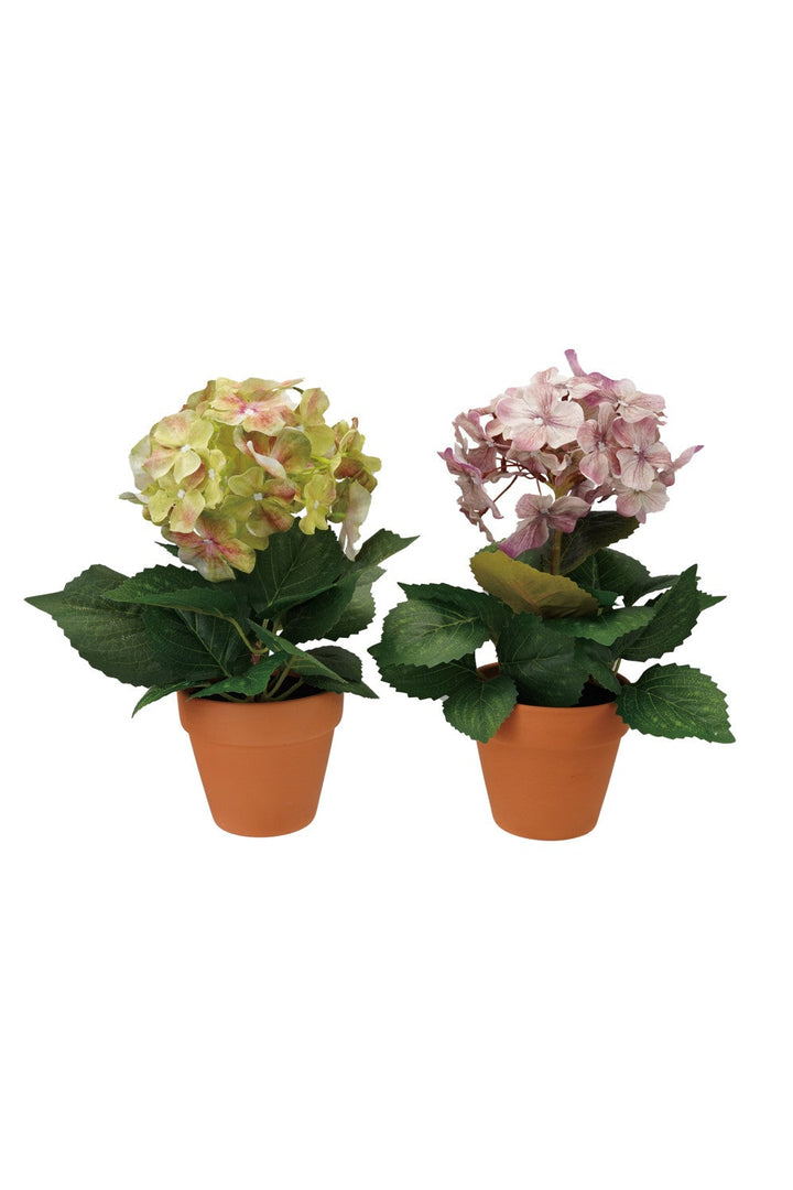 Faux Hydrangea in Plastic Pot, available in pale green and light pinkish-purple blooms, comes in two small terracotta-style pots with realistic petals and green leaves. Sizes available: small.