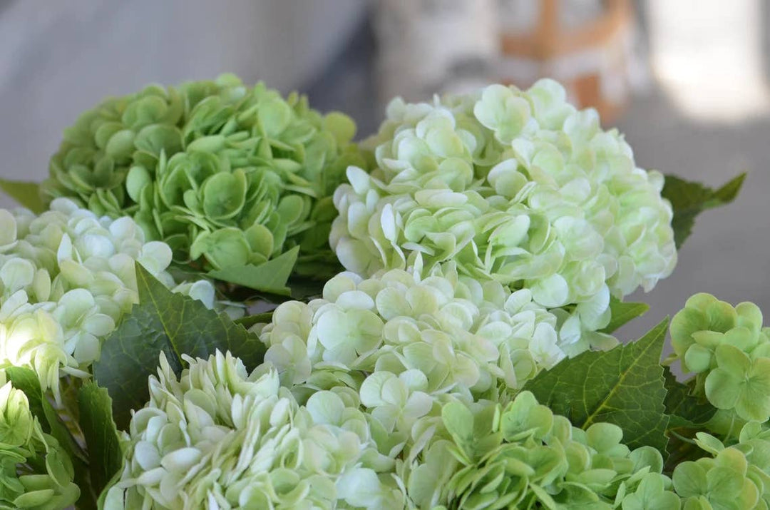 18" Large Bloom Supreme Real Touch Hydrangea in Light Green with lifelike stems and lush leaves. Available in 18" size.