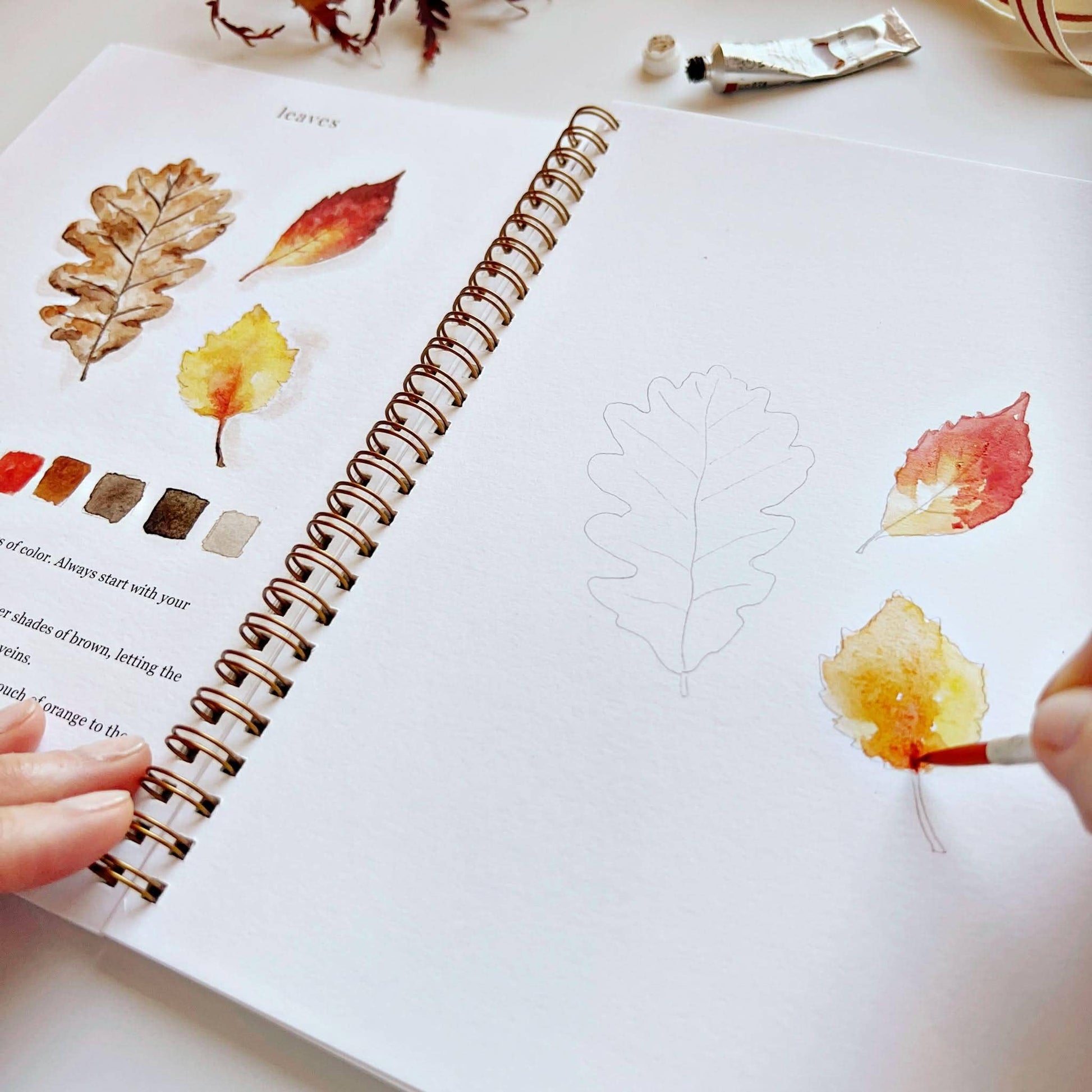 Autumn watercolor workbook with leaf tutorials, color swatches, and instructions. Available in multiple sizes.