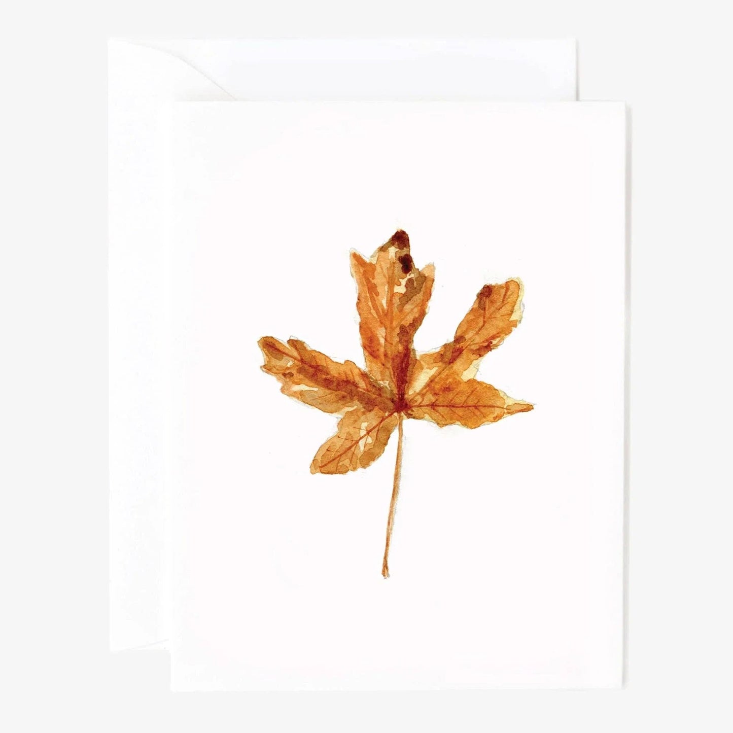 Autumn assorted notecard set with a brown watercolor leaf design on white; available in standard notecard sizes.