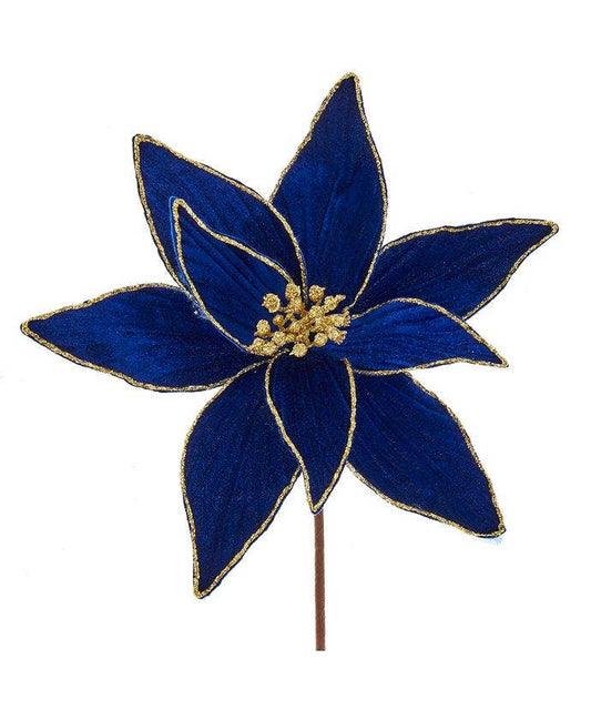 Royal Blue and Gold Poinsettia