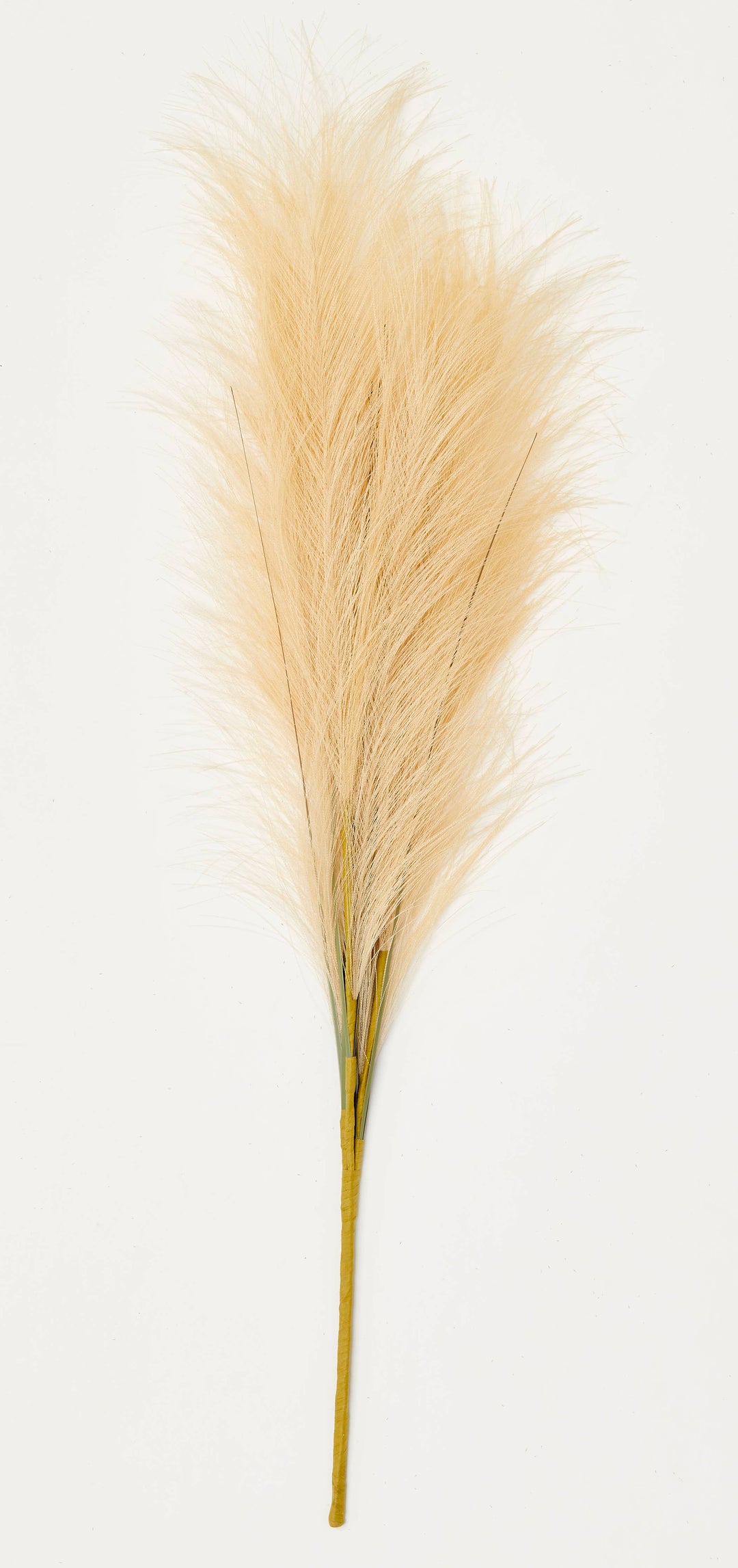23″ Fall Pampas Grass Spray with a single stem, light beige feathery plumes, and greenish-yellow stalk. Size available: 23 inches.
