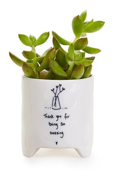 White ceramic planter pot with stick figures hugging, "Thank you for being so amazing" message. Succulent included. Sizes: S/M/L.