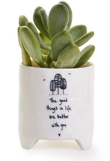 White ceramic planter with green succulent, hand-drawn trees, “The good things in life are better with you.” Sizes: S, M, L.
