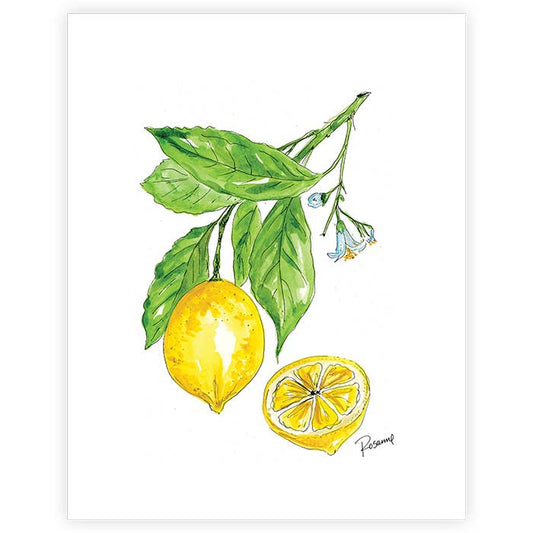Watercolor lemon branch art print with leaves, lemon, and blossoms. Available sizes: 8x10", 11x14", 16x20".