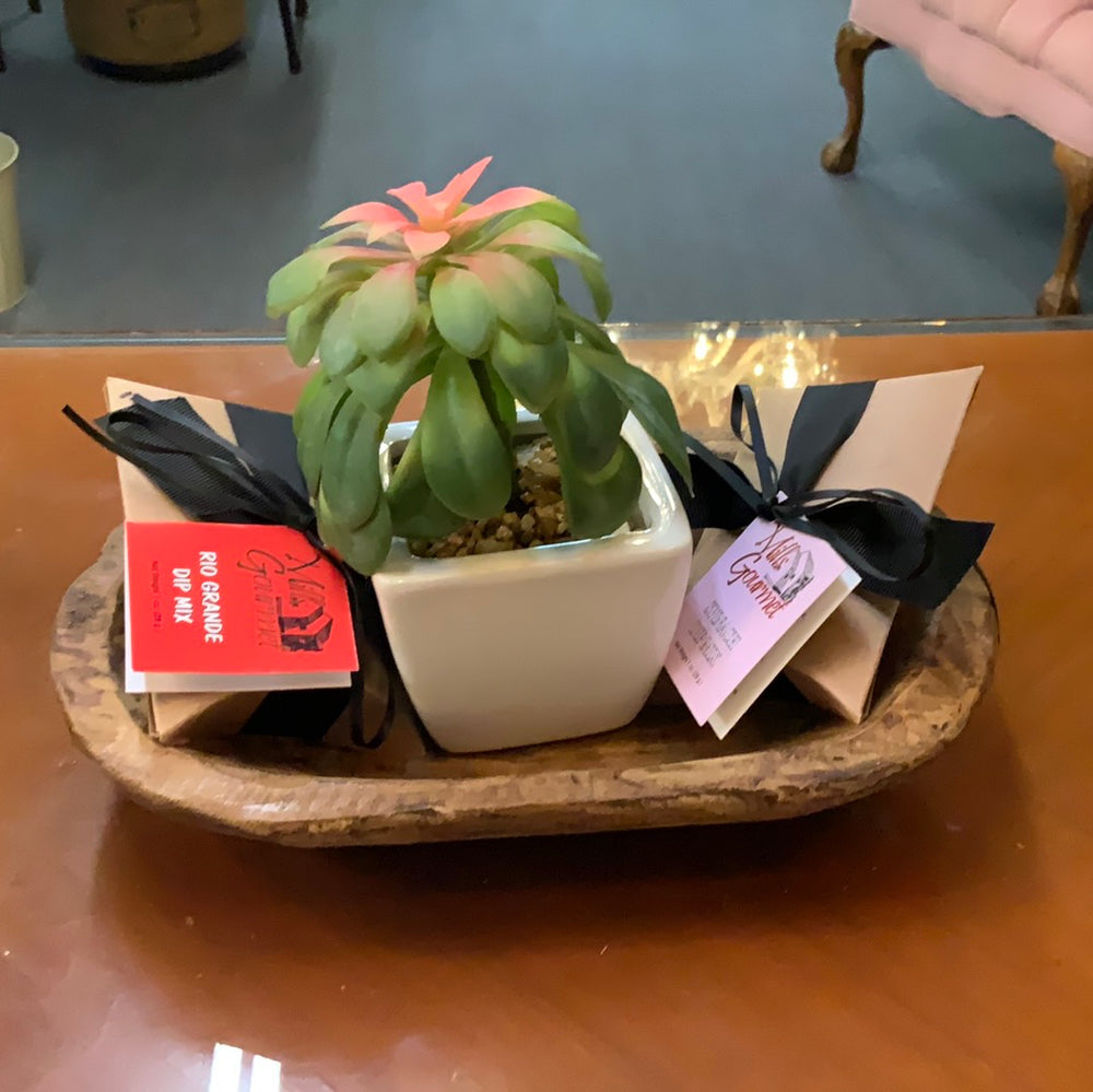Small green succulent in a white pot available in mini and small sizes.