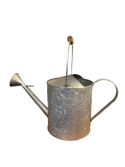 Galvanized metal watering can with long spout, curved side handle, and wooden top grip. Available in 1L and 2L sizes.
