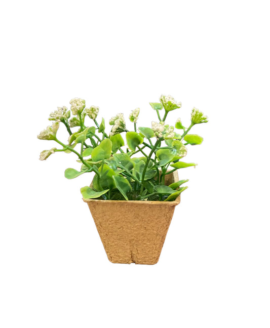 Faux plant with green leaves, tiny white flowers, in a brown square paper pot. Available sizes: small, medium, large.