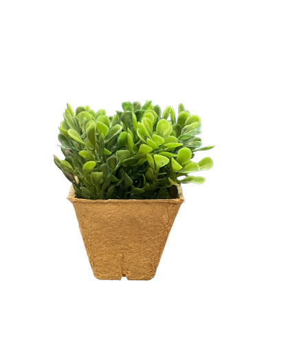 Faux Plant with small round green leaves in a brown square paper pot. Available sizes: Small, Medium, Large.