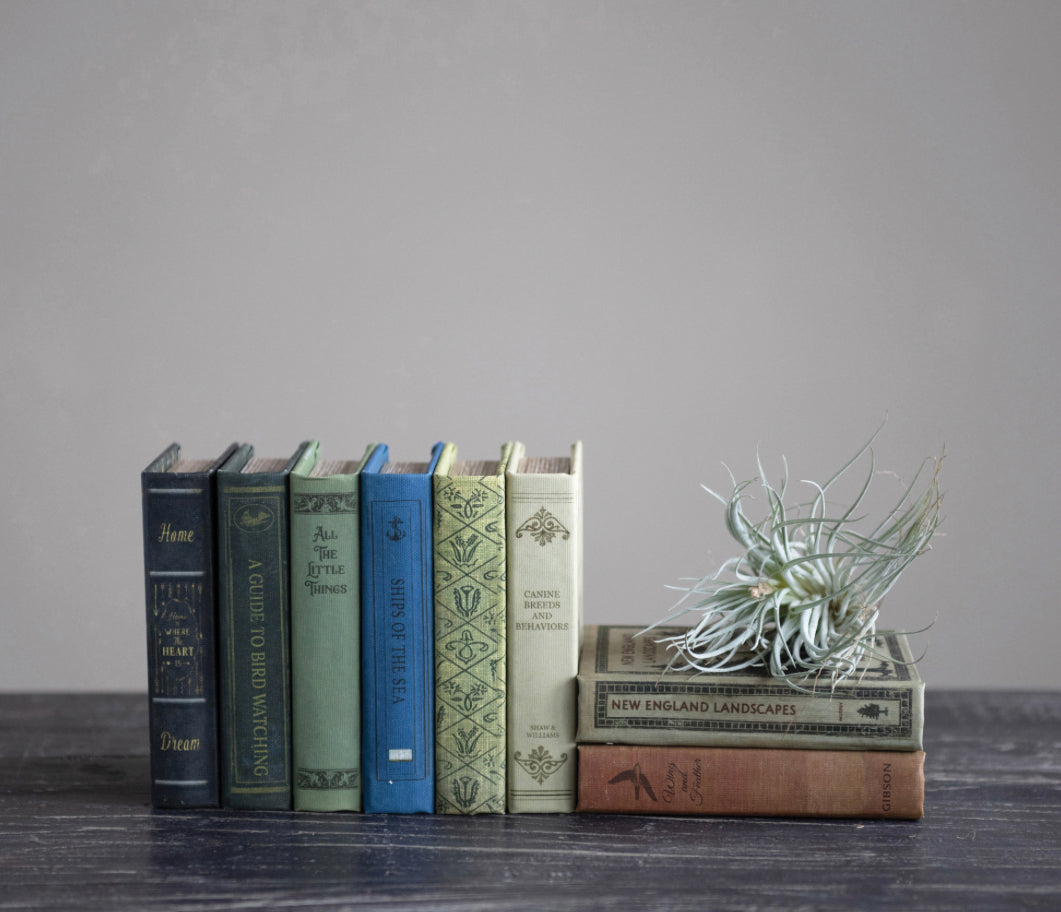 Book Storage Boxes