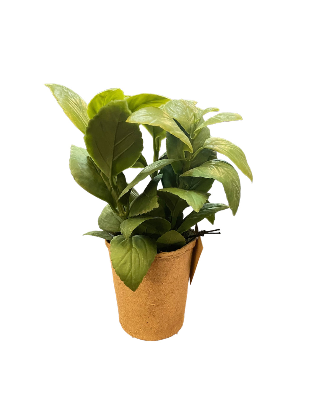 Faux herb with broad green leaves in a brown paper pot. Available sizes: small, medium, large.