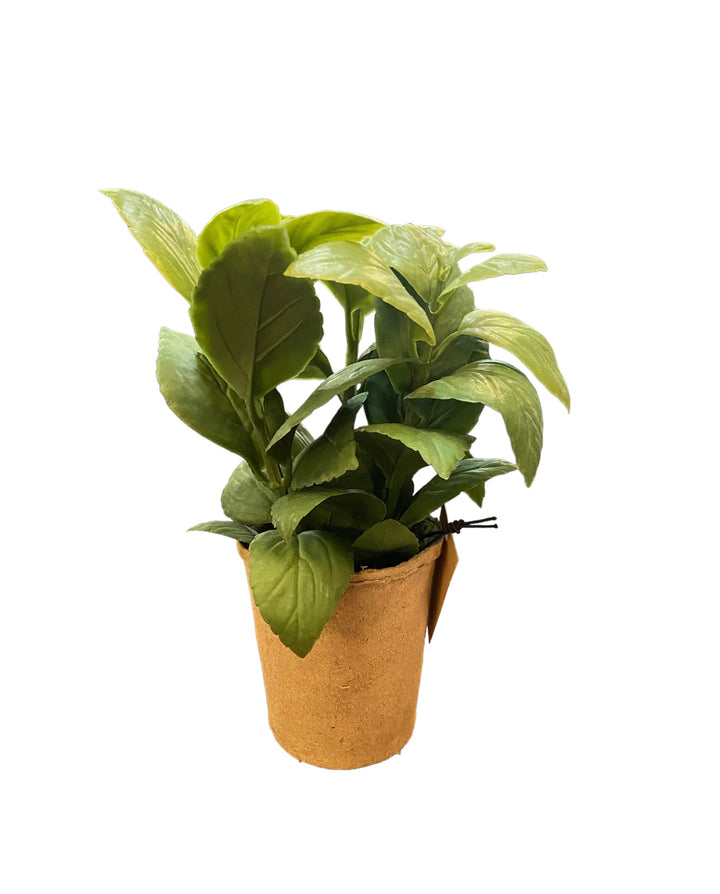 Faux herb with broad green leaves in a brown paper pot. Available sizes: small, medium, large.