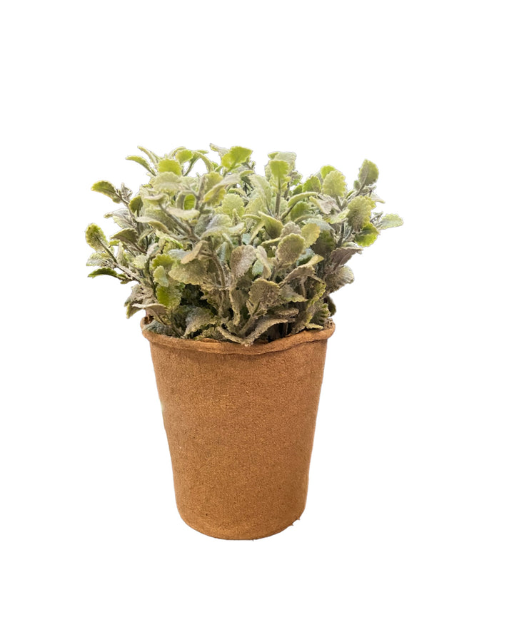 Small faux herb with fuzzy green leaves in a textured brown paper pot; available in small and medium sizes.