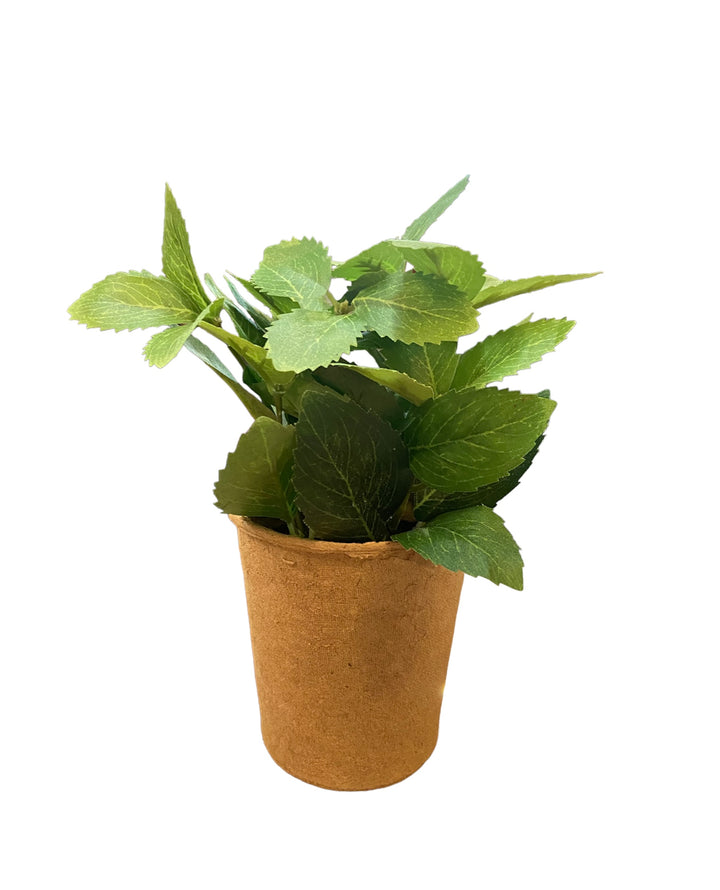 Small faux green plant with broad leaves in a biodegradable brown paper pot. Available in one size.
