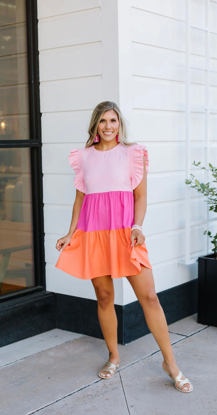 Everly Pink Colorblock Dress