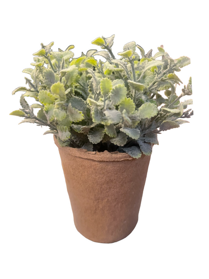 Faux Herb in Paper Pot with green fuzzy leaves, brown paper pot. Available sizes: small, medium, large.