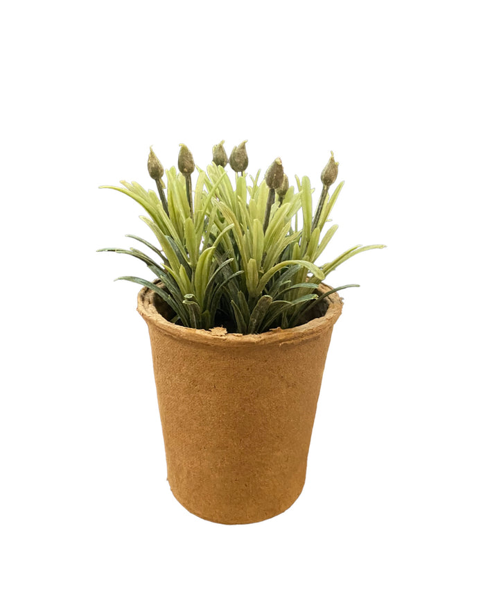 Faux herb with green leaves and buds in brown paper pot. Available sizes: small, medium, large. Decorative use only.