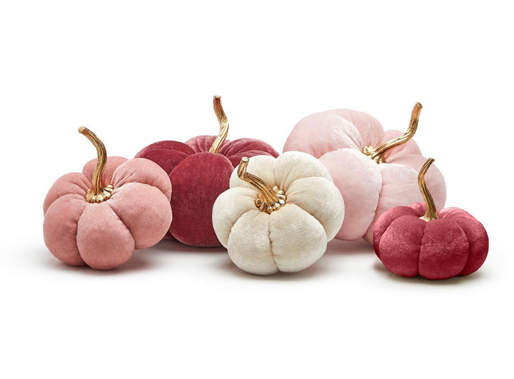 Five pink and white velvet pumpkins with gold stems. Available in various sizes.