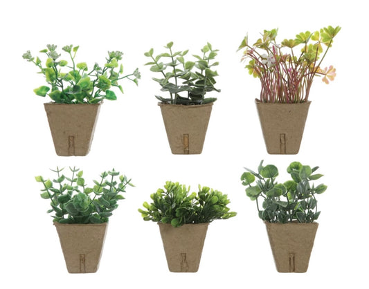 Six small faux plants in light brown paper pots with unique green foliage. Available in a set arranged in two rows.